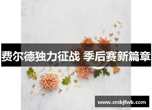 费尔德独力征战 季后赛新篇章